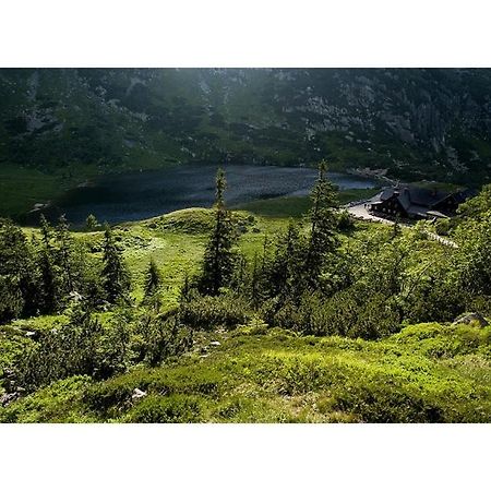 Auberge de jeunesse Schronisko Pttk Samotnia à Karpacz Extérieur photo