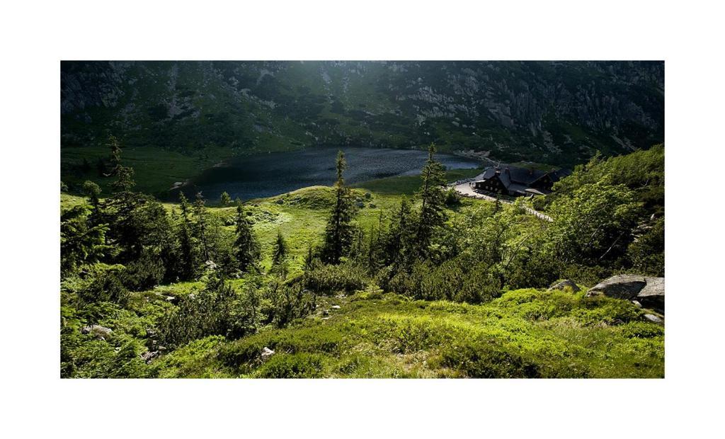 Auberge de jeunesse Schronisko Pttk Samotnia à Karpacz Extérieur photo